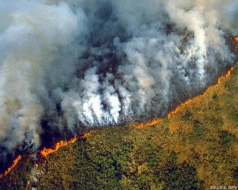 An overview of the active fires in the Amazon Rainforest.