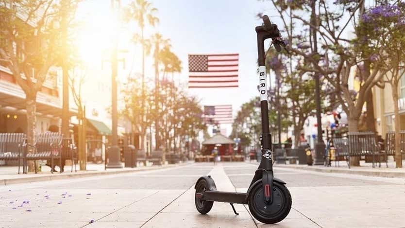 An electric scooter from the brand Bird, one of the big public use scooter distributors. 