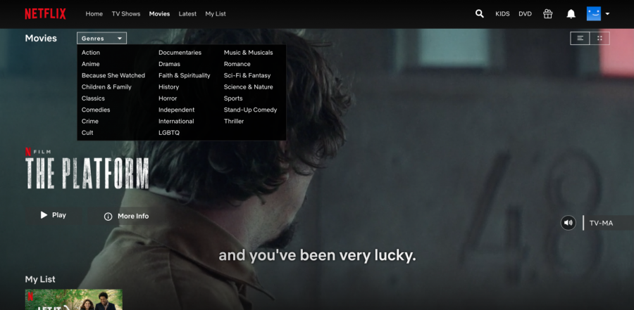 Screenshot of all the genres Netflix offers.