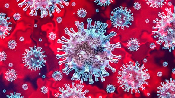 The deadly and unknown virus that took this world by surprise.